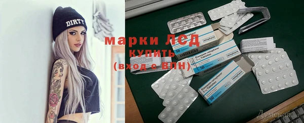 прущие грибы Бородино