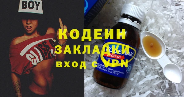 прущие грибы Бородино
