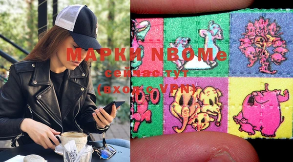 прущие грибы Бородино