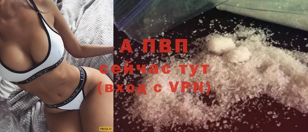 прущие грибы Бородино