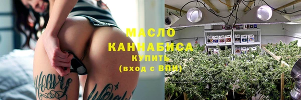 прущие грибы Бородино